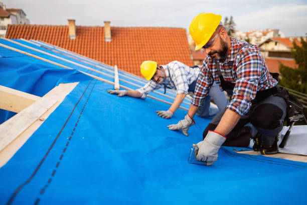 Best Metal Roofing Contractor  in West, TX